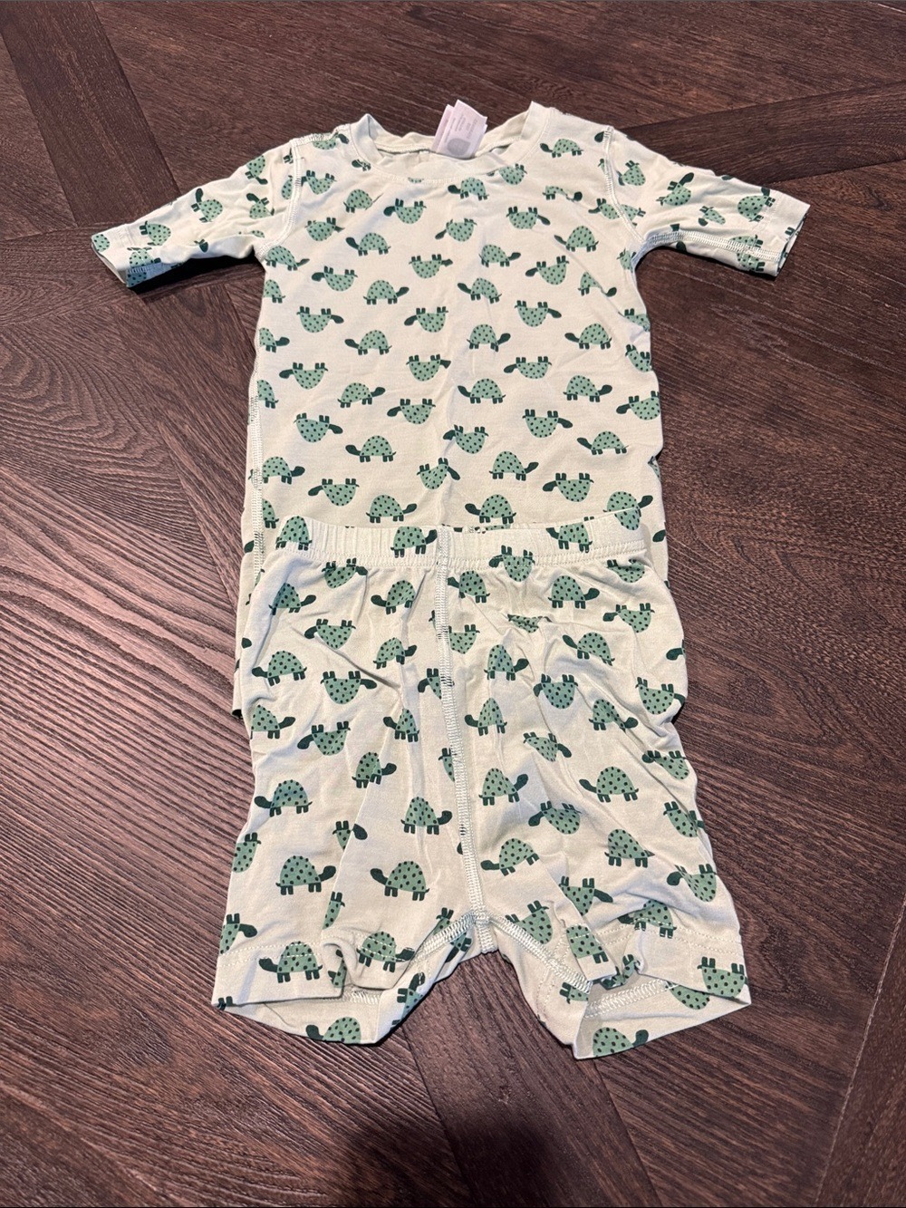 Hanna Andersson Light Green Turtle Kids Pajama Set